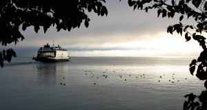 What Are Your Options For Cruises